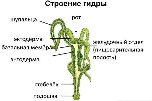 Как найти официальный сайт кракен