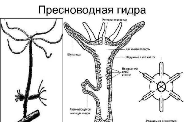 Кракен даркнет магазин