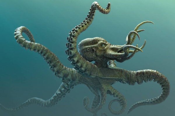 Kraken зеркало тор