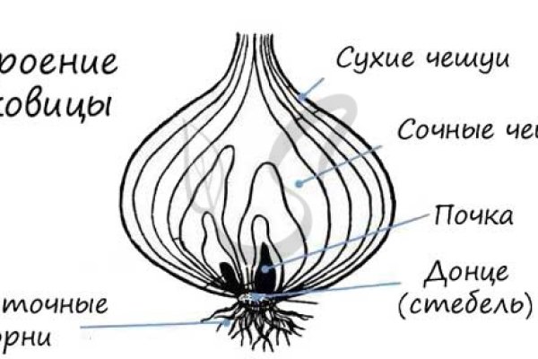 Кракен нарко