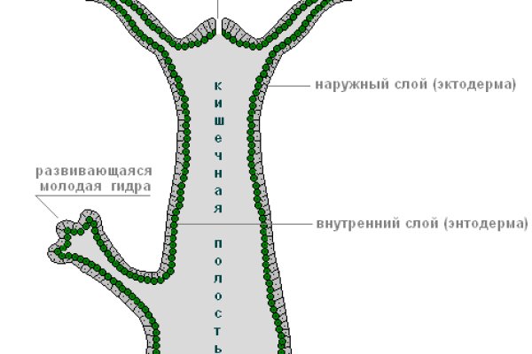 Кракен вместо гидры