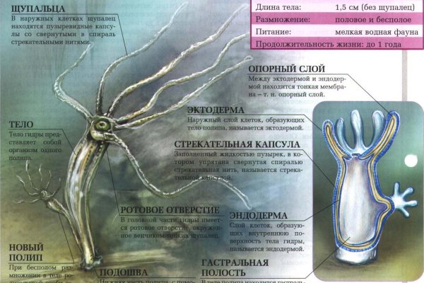 Как пополнить баланс кракен